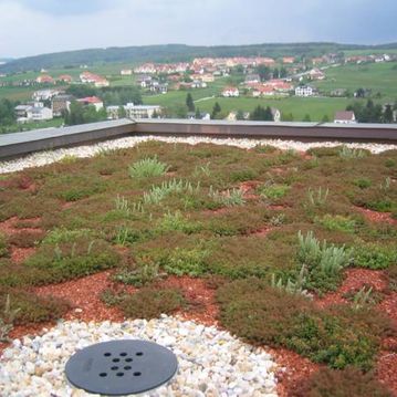 Gründach